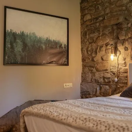 La Borda De Chelis Gospodarstwo wiejskie Broto