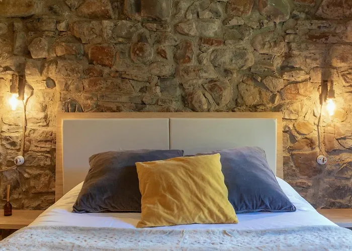 カントリーハウス La Borda De Chelis *